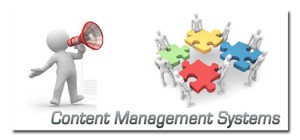 Content Management Systems